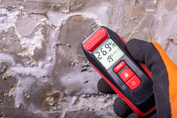Best Mold Testing  in Middletown, CT